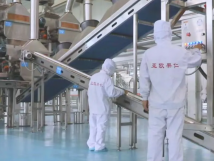 2025年的第一個月，承德亞歐果仁有限公司在山杏產(chǎn)業(yè)的道路上持續(xù)奮進(jìn)，展現(xiàn)出蓬勃的發(fā)展活力。